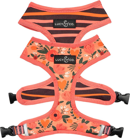 Lucy & Co. Reversible Dog Harness - Water-Repellent Neoprene, Dual-Print Design, Easy Swap Style, Adjustable Comfort Fit - Take a Bow Reversible Harness - Small12