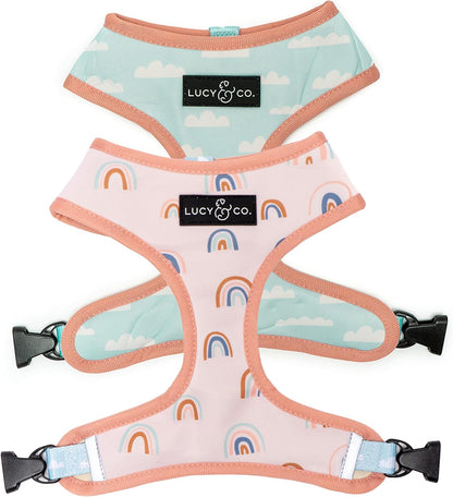 Lucy & Co. Reversible Dog Harness - Water-Repellent Neoprene, Dual-Print Design, Easy Swap Style, Adjustable Comfort Fit - Take a Bow Reversible Harness - Small30
