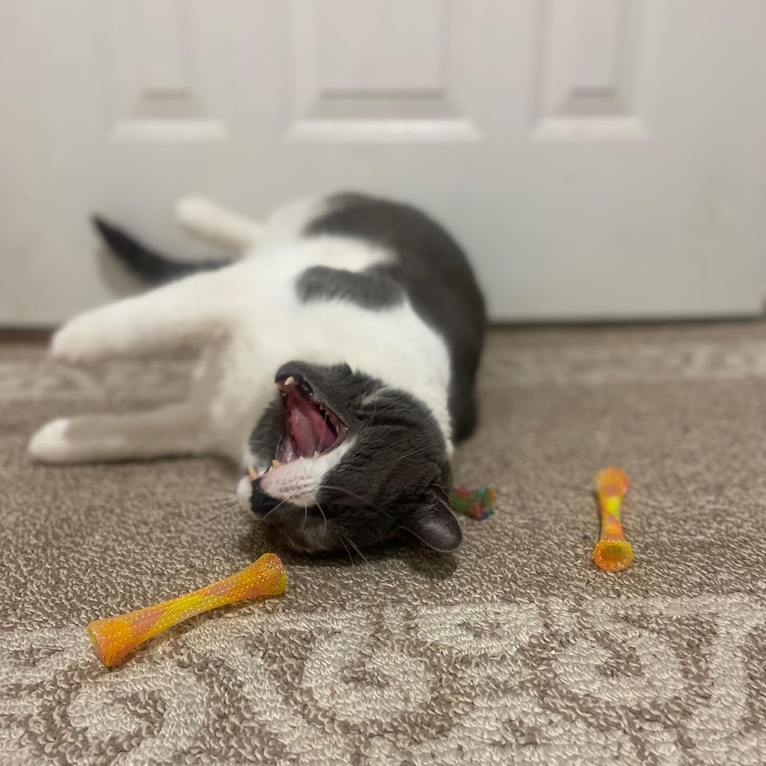 spot-kitty-fun-tubes-cat-toy-with-catnip-inside-bouncy-interactive-mesh-toy-for-cats-and-kittens-to-bite-swat-and-chase-3-pieces