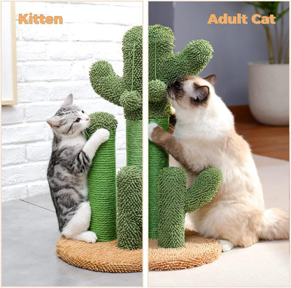 PAWZ Road Cactus Cat Scratching Post 23”Cat Scratcher with Toy Ball | Cactus Cat Tree with 3 Sisal & Carpet Scratching Posts, Soft Carpet Base & Top, Interactive Ball for Indoor Cats6