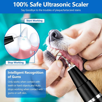Ni-Shen Plaque Remover for Teeth - Pet Ultrasonic Cleaner - Teeth Cleaning Kit for Tartar and Stains - Suitable for Dogs and Cats (Black)2