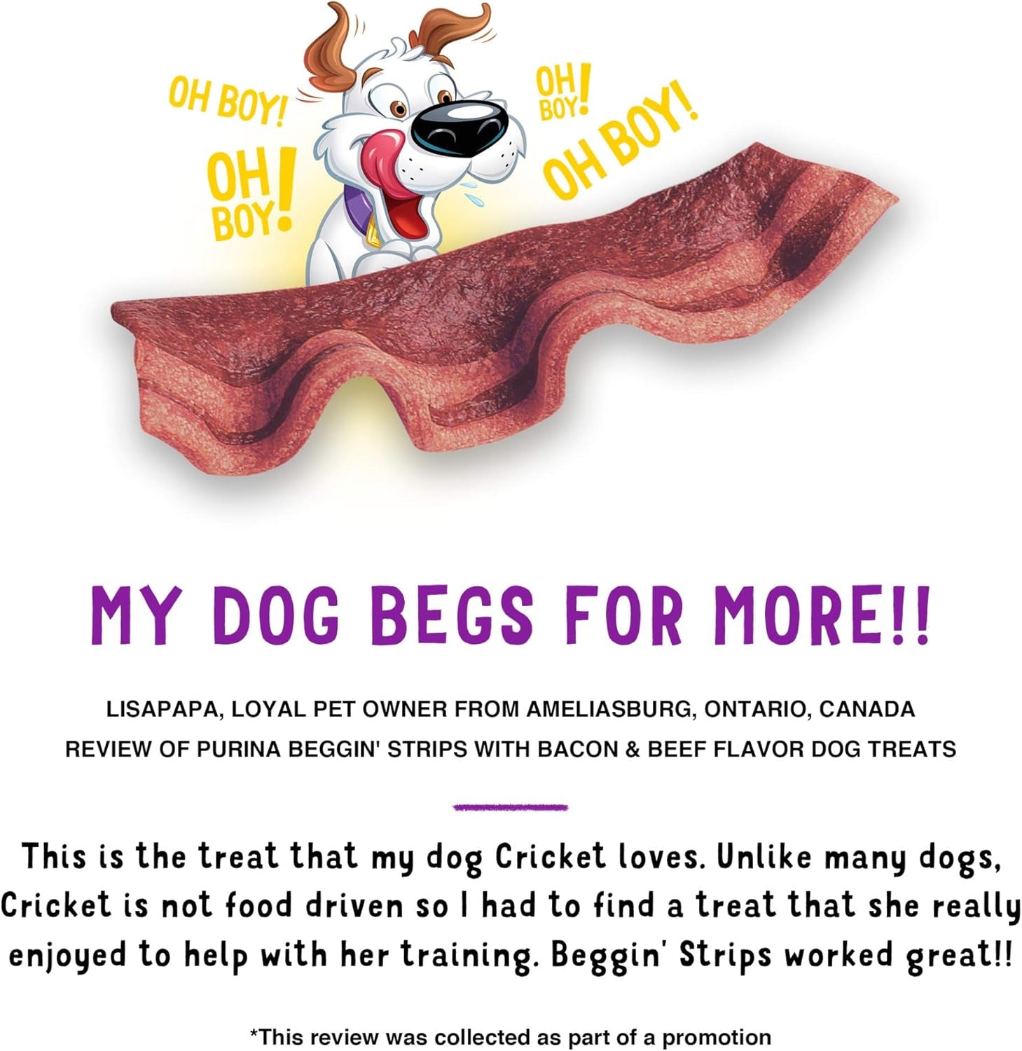 purina-beggin-strips-with-real-meat-dog-treats-with-bacon-and-beef-flavors-pack-of-2-26-oz-pouches