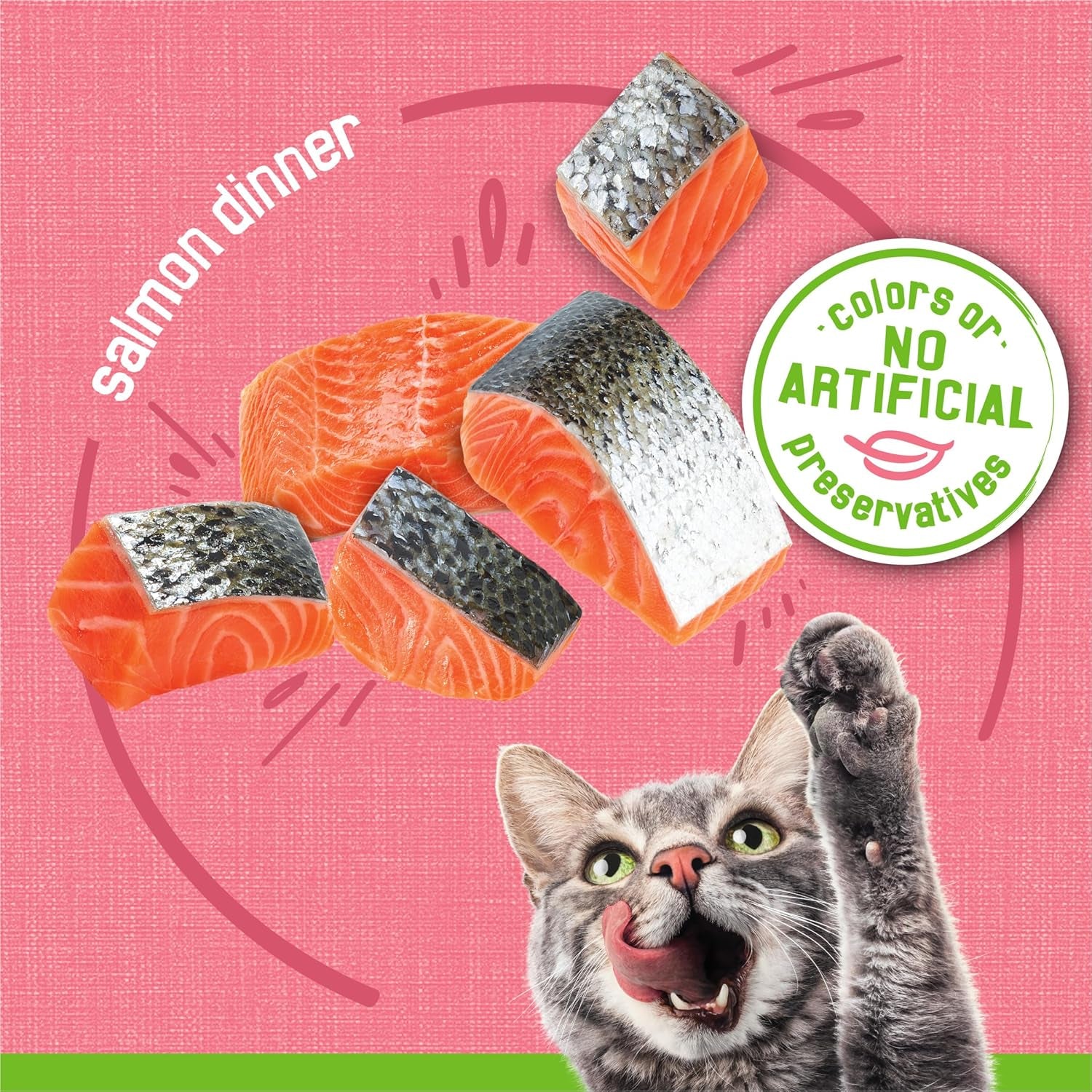 purina-friskies-wet-cat-food-pate-pate-salmon-dinner-pack-of-24-5-5-oz-cans