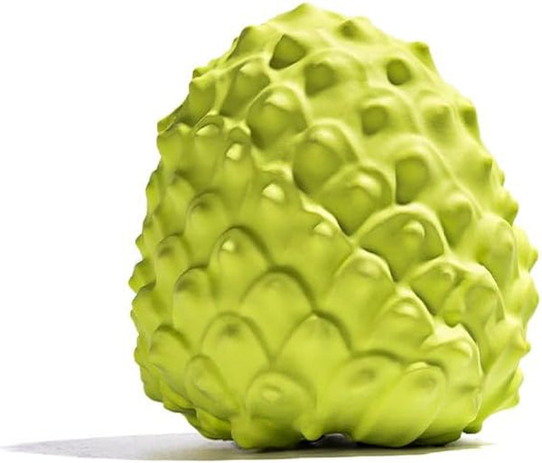 Mewajump Dog Chew Toys, Durable Rubber Dog Toys for Aggressive Chewers, Cactus Tough Toys for Training and Cleaning Teeth, Interactive Dog Toys for Medium/Large Dog9