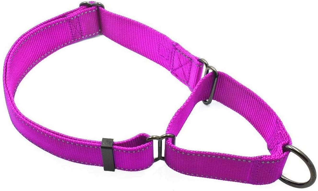 max-and-neo-nylon-martingale-collar-we-donate-to-a-dog-rescue-for-every-collar-sold-medium-orange