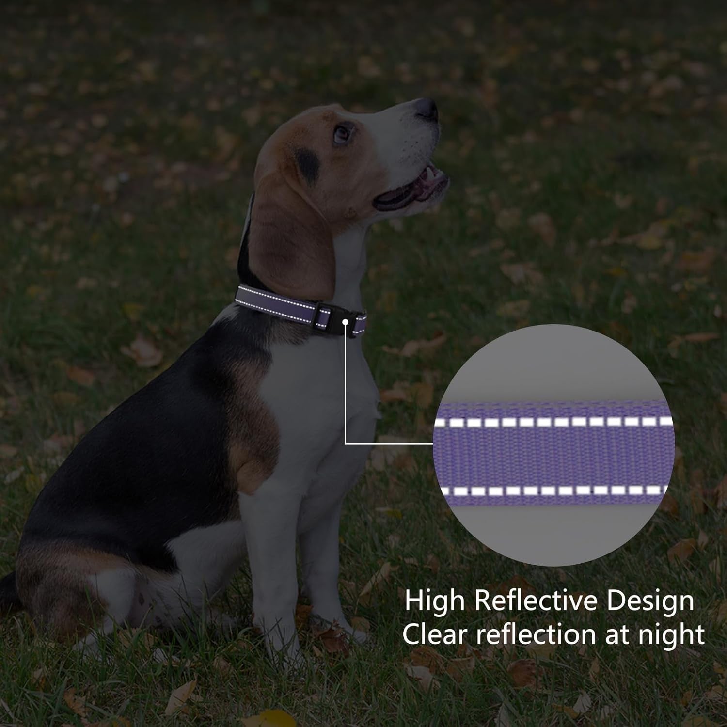 reflective-dog-collar-padded-with-soft-neoprene-breathable-quick-release-basic-dog-collars-for-medium-dogs-purple-girl