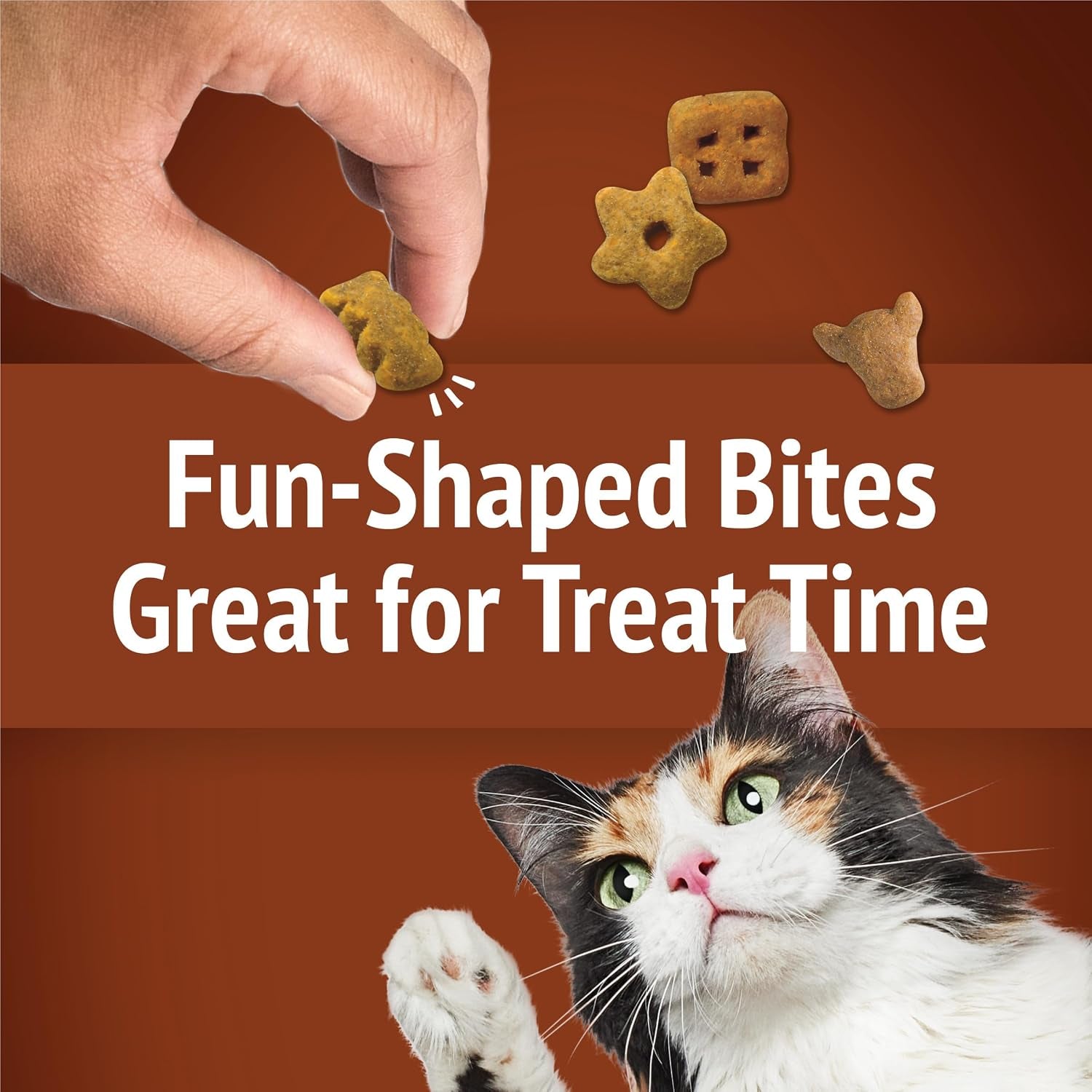 purina-friskies-cat-treats-party-mix-wild-west-crunch-pack-of-10-2-1-oz-pouches