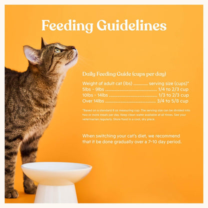 Made by Nacho Dry Cat Kibble 4Lb Bag, High Protein and Grain-Friendly Premium Cat Food, Cage-Free Chicken & Pumpkin Recipe, Infused with Bone Broth for Hydration, Limited Ingredients, Single Bag6