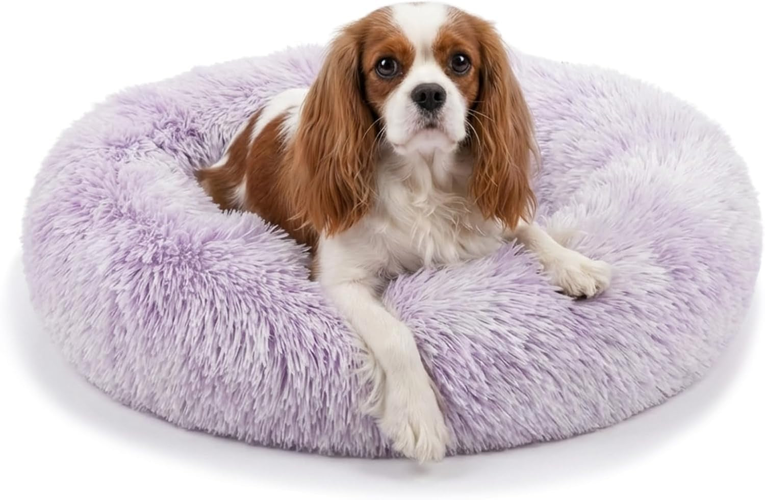 small-calming-dogs-bed-for-small-dogs-anti-anxiety-machine-washable-fluffy-luxury-anti-slip-waterproof-mute-base-warming-cozy-soft-pet-puppy-round-bed