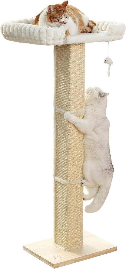 Cat Scratching Post with Large Window Perch, 47-Inch Tall Sisal Cat Tree | Glass Suction-Cup Mounting; for Large Cat & Maine Coons; Thick Square Sisal Post; Ultra-Soft Bolstered Bed; Hold up to 45 Lbs1