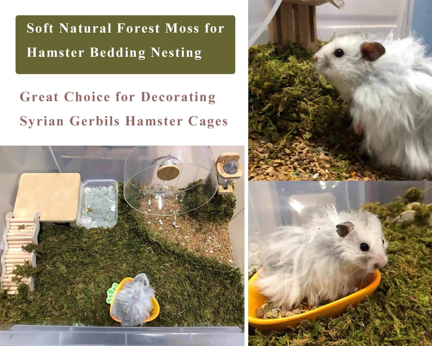 5l-forest-moss-for-hamster-syrian-gerbils-bedding-natural-moss-perfect-for-potted-plants-terrariums-reptile-tanks-and-live-creature-projects