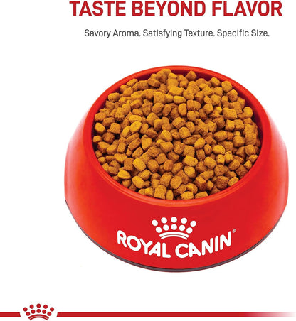 ROYAL CANIN Breed Health Nutrition Dachshund Puppy Dry Dog Food, 2.5 Lb Bag | Specialized Nutrition for Dachshund Puppies, Supports Healthy Growth, Tailored Kibble Shape, 2.5 Pound Bag8