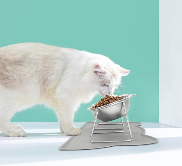 Elevated Cat Bowls, 2 Pack Raised Cat Food Water Bowls with Non-Slip Placemat, 15° Tilted Stand anti Vomiting Stainless Steel Pet Food Feeding Dishes Plate for Cats Kitten Puppies Dogs Small Animals7