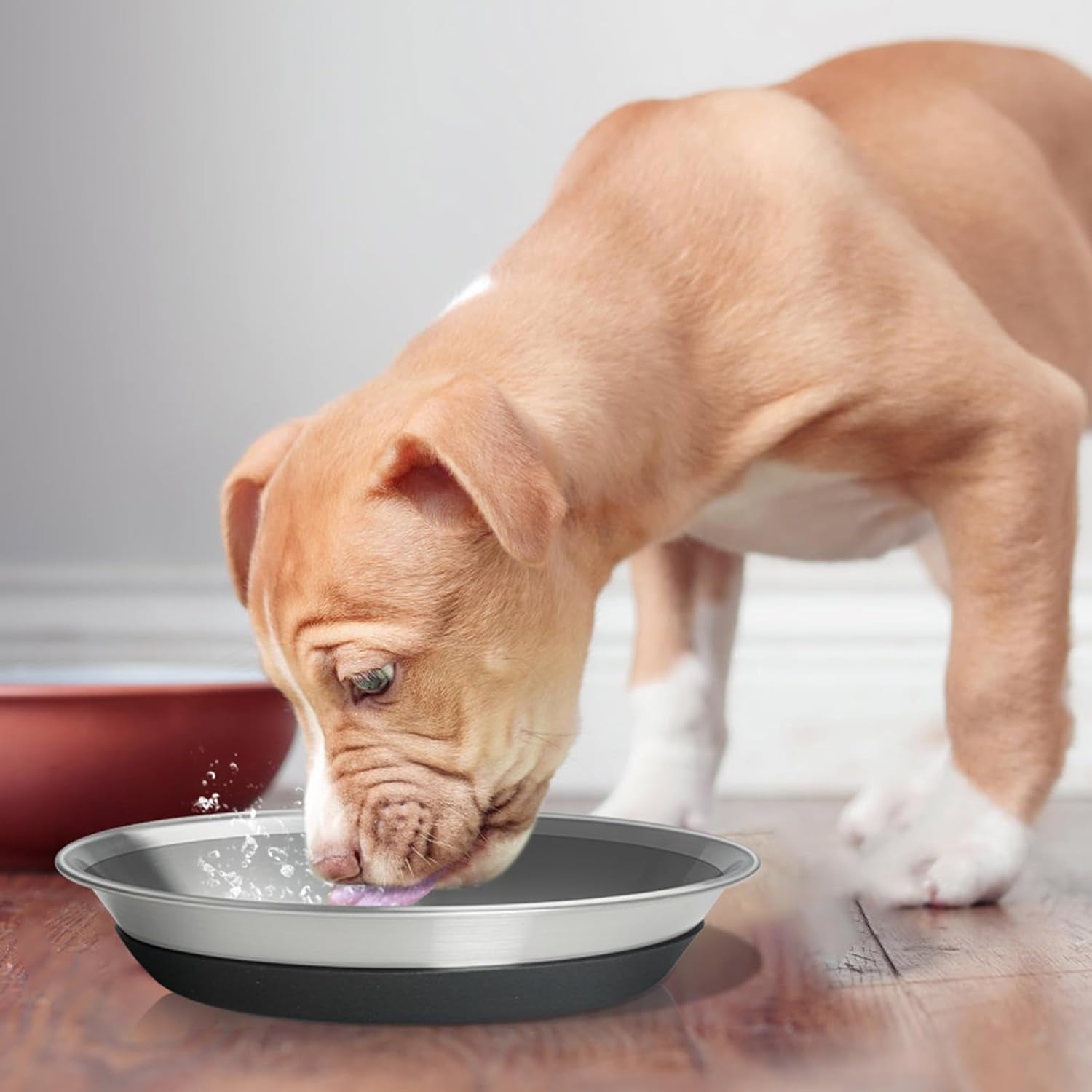 2-packs-premium-stainless-steel-dog-bowls-non-slip-2-5-cups-capacity-durable-and-safe-for-your-beloved-pet