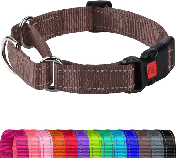 Joytale Martingale Collar for Dogs, Escape Proof No Pull, Hotpink, M | Gentle Cinch Stops Pulling without Choking, Safety Lock Buckle, Reflective Stitching for Night Walks, Soft Nylon11