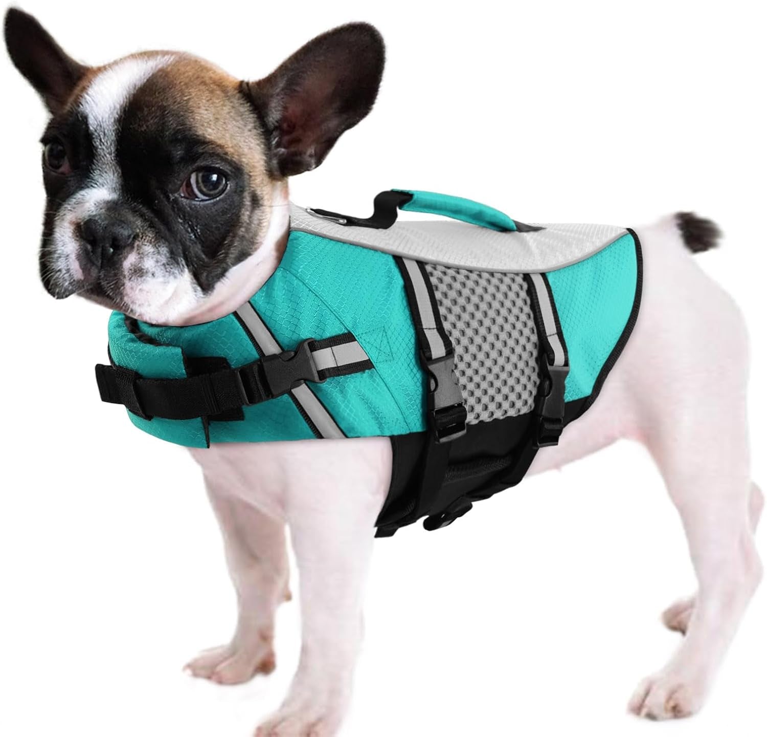 queenmore-dog-life-jacket-small-float-vests-for-swimming-boating-kayaking-mediumn-puppy-dogs-cats-neoprene-life-preserver-pet-water-lifesaver-lightweight-reflective-green-l