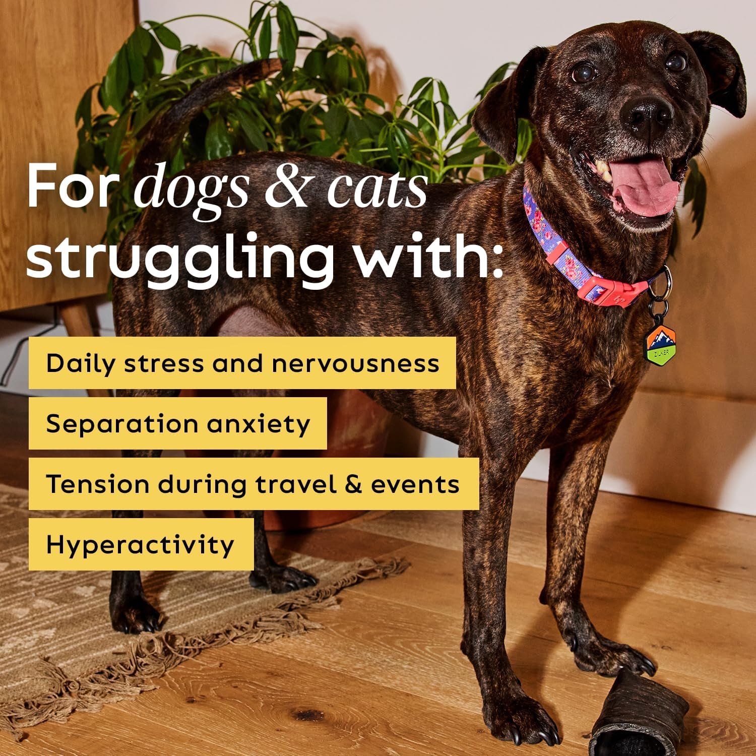 chill-out-30-soft-chews-calming-chews-for-dogs-and-cats-help-maintain-your-pet-s-emotional-balance-made-in-the-usa