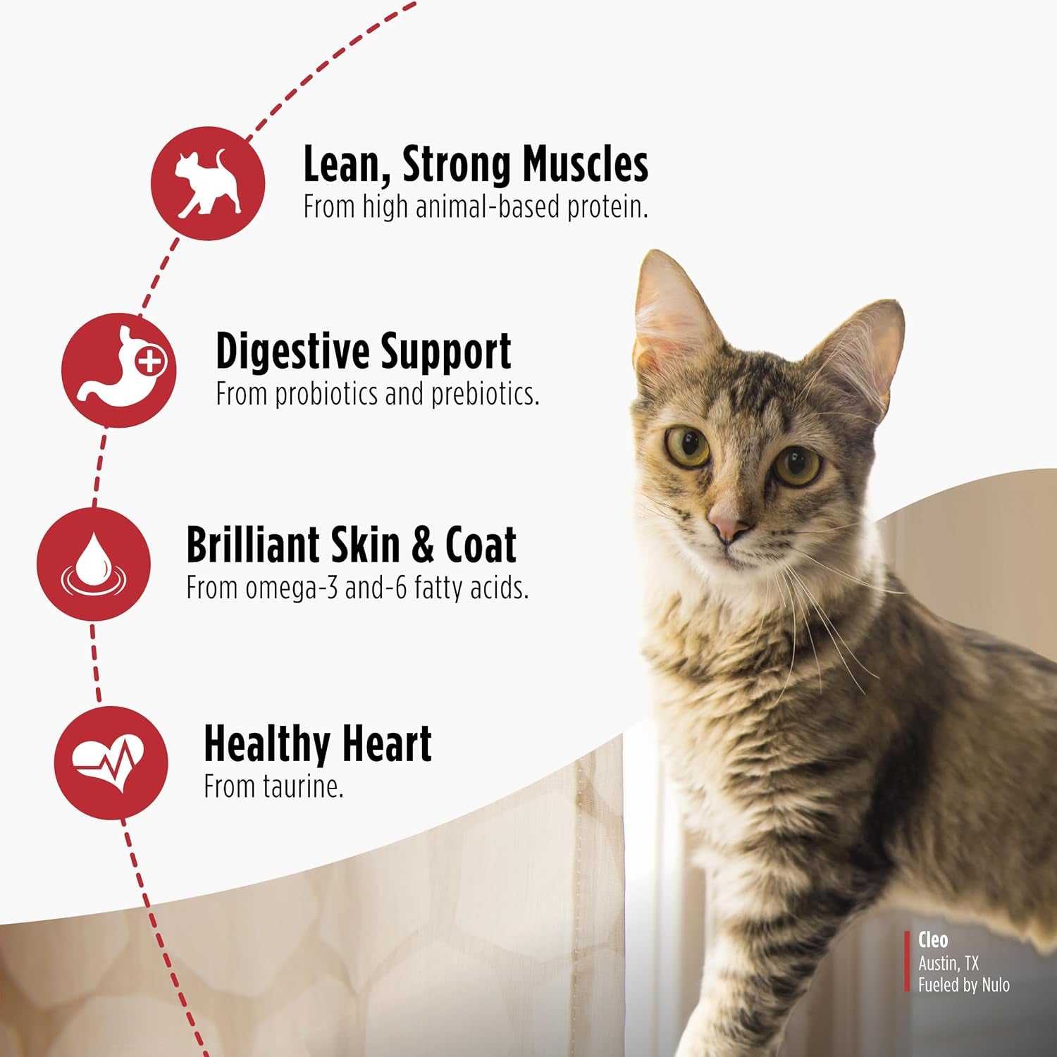 nulo-freestyle-dry-cat-food-indoor-duck-cod-high-protein-grain-free-dry-cat-food-natural-kibble-with-probiotics-and-omegas-fatty-acids-4lb-bag