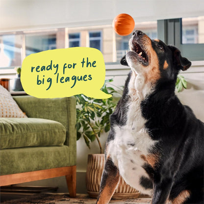 WOOF Flyball Fetch Ball & Dog Treat Dispenser Toy, 3-Pack | 2-In-1 Fetch Ball, Fits Standard Ball Launchers, Treat Dispenser, Durable Rubber, Dishwasher Safe, Puzzle Enrichment7