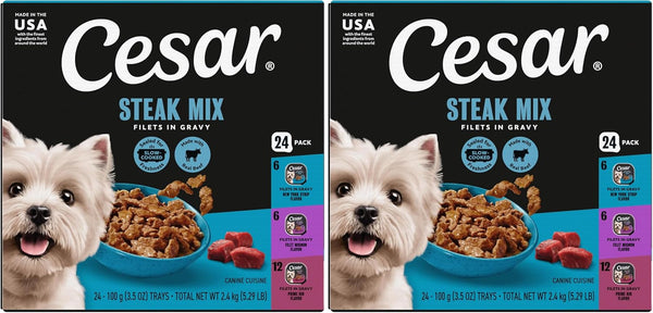 Cesar Filets in Gravy Wet Dog Food, Steak Mix Variety, 3.5 Oz, 24 Count | Filet Mignon, New York Strip & Prime Rib, Real Meat, Slow-Cooked, No Fillers/Added Sugar/Artificial Flavors, Easy Peel Trays15