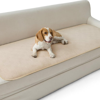 Bedsure Waterproof Couch Cover for Dogs Washable - Waterproof Blanket for Large Dogs Couch Sofa Bed Cozy, Lightweight Furniture Protector for Pet Cat Quick Drying, Ash Grey, 52X82In18