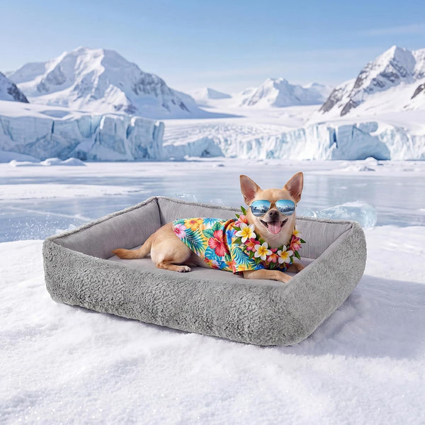 Donut Pet Bed for Indoor Cats and Small Dogs, Self-Heating Dog Bed with Non-Slip Bottom, Winter Comfort Dog Beds for Puppies, Washable & Portable Egg Tart Shape (S) Small Cat Bed Self Warming20