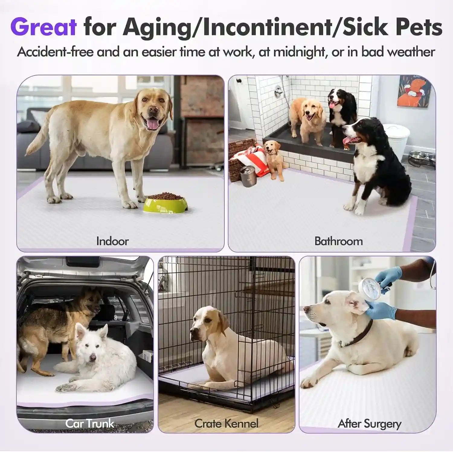 dog-potty-pads-for-indoor-bathroom-car-trunk-crate-and-post-surgery-use-ideal-for-aging-incontinent-or-sick-pets
