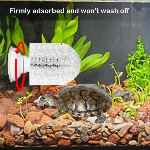 Turtle Brush with Suction Cup, Screw the Upgraded Turtle Scrub Brush Tightly on the Glass, It Is Not Easy to Fall off and Slide, Helping the Turtle Remove Dirt on the Back and Abdomen.5