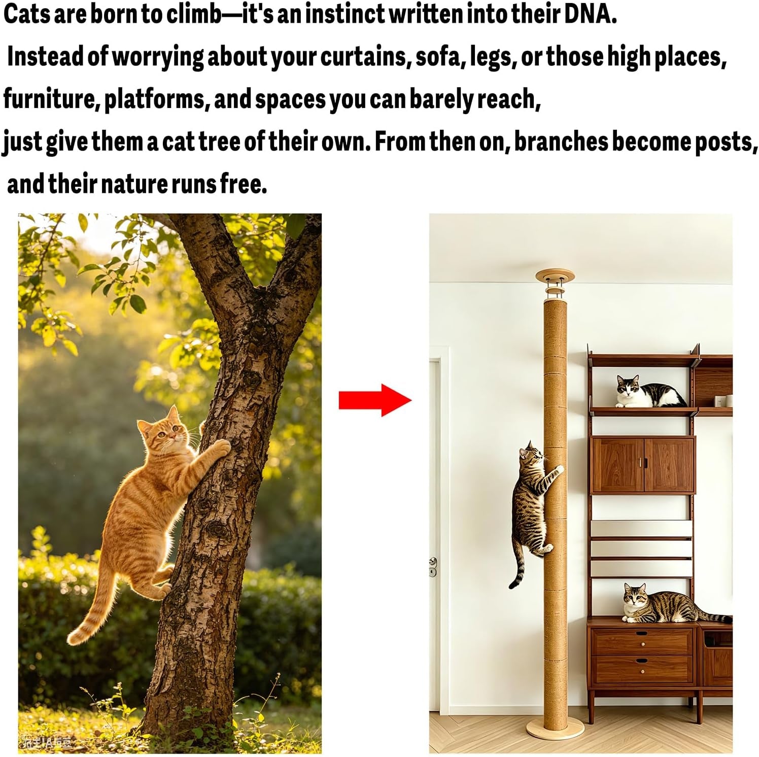 floor-to-ceiling-cat-scratching-post-tree-adjustable-height-40in-120in-tall-pvc-cat-climbing-pole-sturdy-cat-activity-tower-for-indoor-cats-to-climb-scratch-play