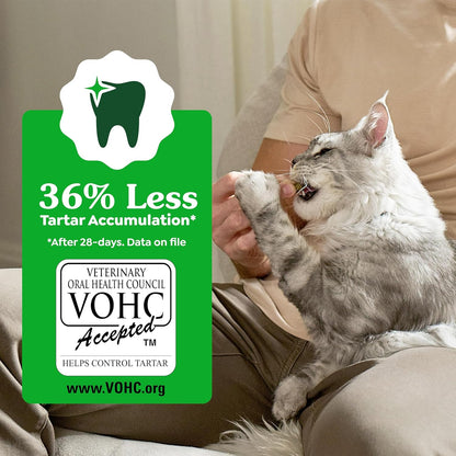 Greenies Feline Natural Crunchy Dental Cat Treats, Salmon Flavor, 21 Oz | #1 Vet-Recommended, Clinically-Proven Oral Care, 36% Less Tartar in 28 Days, Cleans to Gumline, Natural Ingredients7