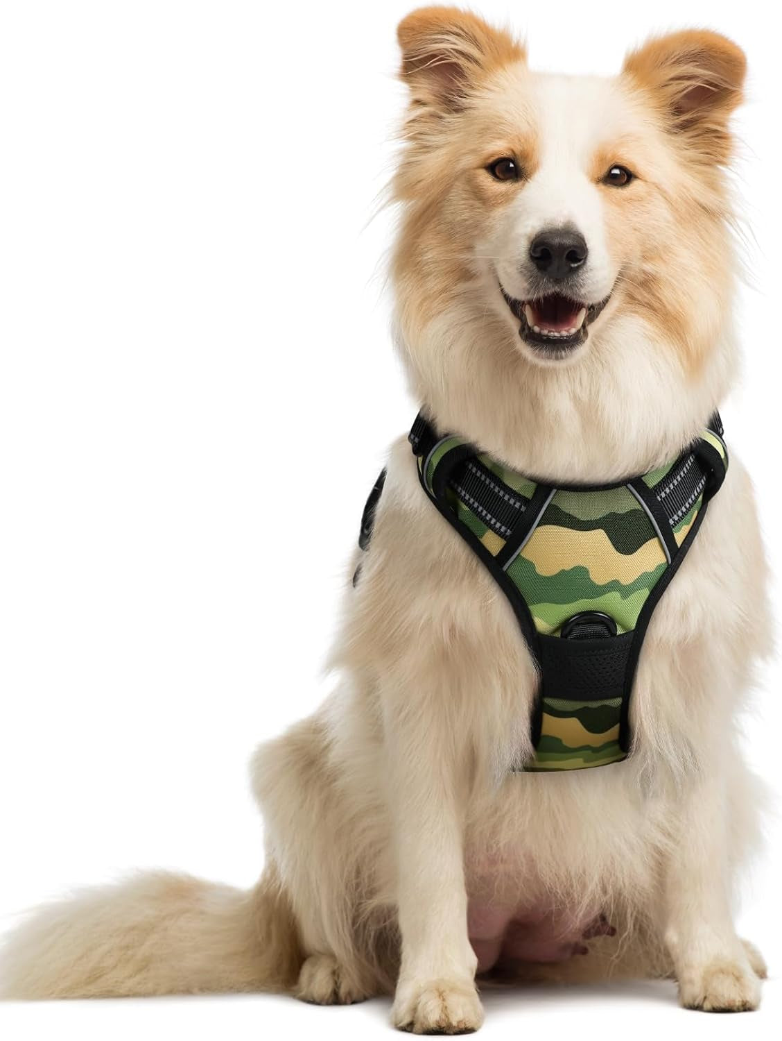 rabbitgoo-dog-harness-no-pull-for-large-dogs-with-2-leash-clips-pet-vest-no-choke-with-handle-adjustable-soft-padded-reflective-easy-control-for-walking-black-large