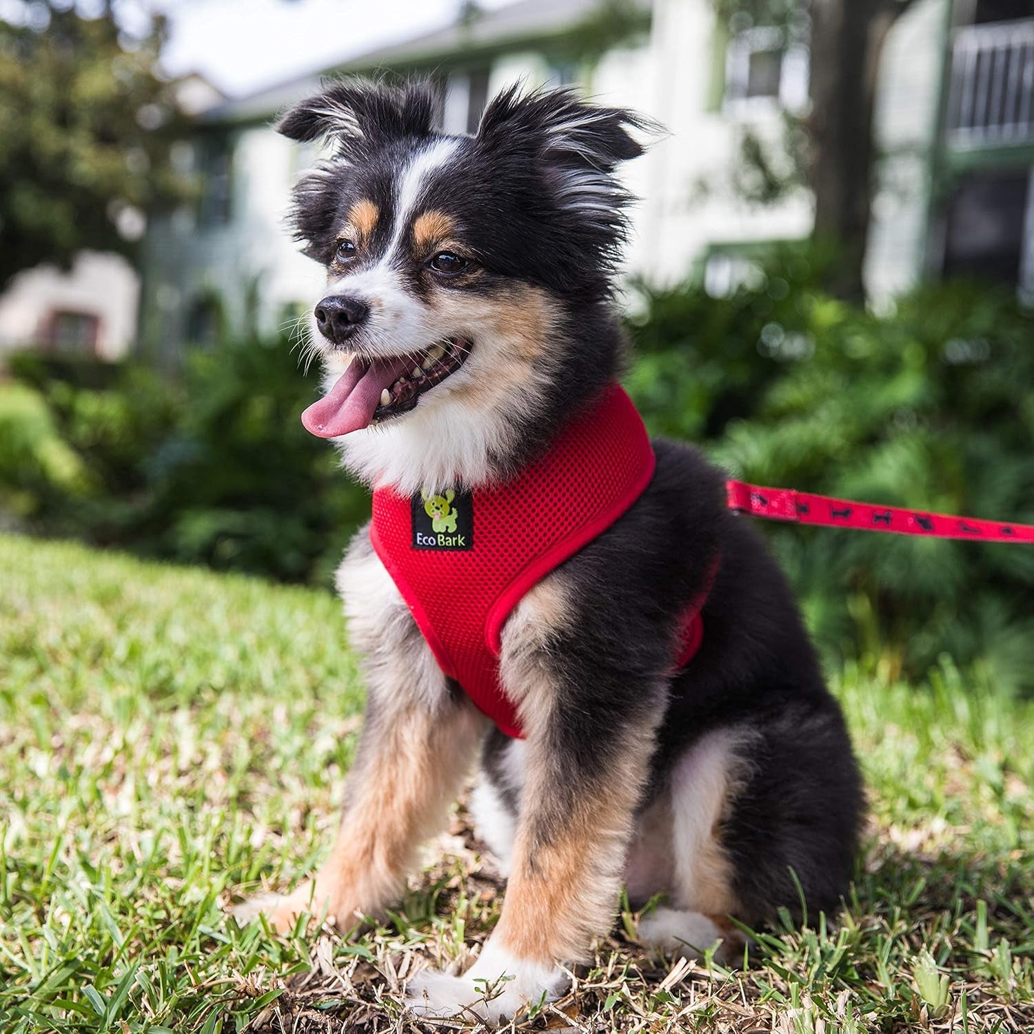 ecobark-dog-harness-soft-mesh-over-the-head-vest-harness-red-small-luxurious-eco-friendly-no-pull-no-choke-design-padded-breathable-body-halter-anti-rub-for-puppy-toy-small-breeds