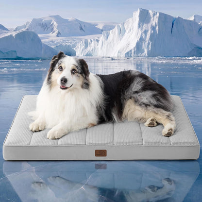 Bedsure Washable Dog Beds Large Sized Dog with Comfy Sherpa, 36X27In Grey | Orthopedic Egg Crate Foam,Comfort Support Flat Rectangle Pet Mat,Non-Slip Bottom,Removable Cover,For Large Breed up to 55 Lbs46