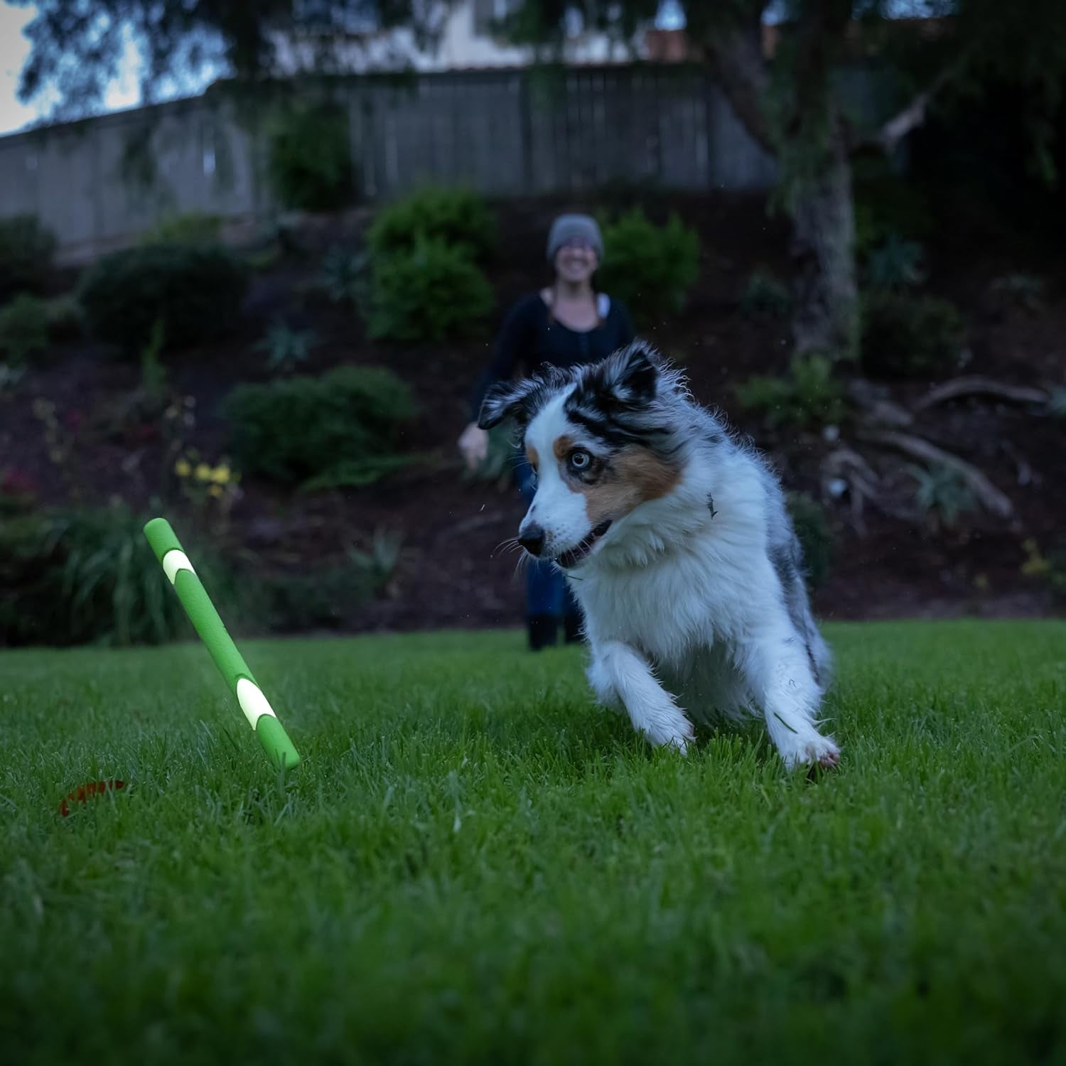 chuckit-max-glow-ultra-fetch-stick-outdoor-dog-toy-12-inches-for-all-breed-sizes