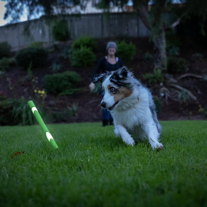 Chuckit! Max Glow Ultra Fetch Stick Outdoor Dog Toy, 12 Inches, for All Breed Sizes6