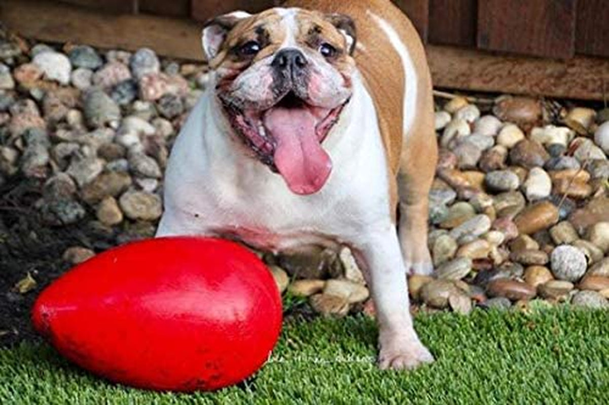 jolly-pets-jolly-egg-dog-toy-12-inches-large-red