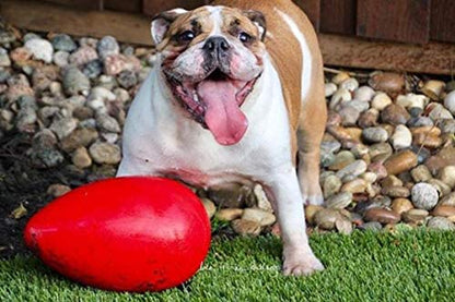 Jolly Pets Jolly Egg Dog Toy, 12 Inches/Large, Red2