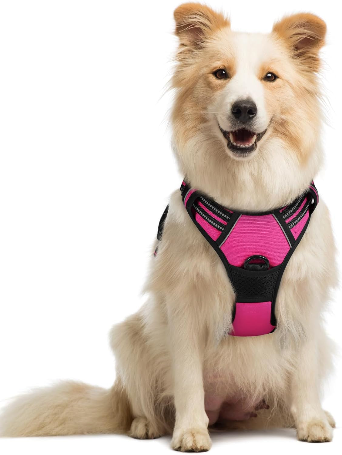 rabbitgoo-dog-harness-no-pull-for-large-dogs-with-2-leash-clips-pet-vest-no-choke-with-handle-adjustable-soft-padded-reflective-easy-control-for-walking-black-large