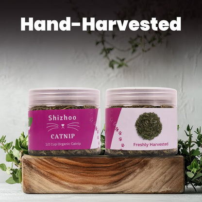 Catnip for Cats with Leaves and Flower Seeds 100% Natural and Organic Catnip Premium Cat Nip for Cats & Kittens Used as a Snack or Refillable Catnip Treats for Cats (1/2 Cup)8