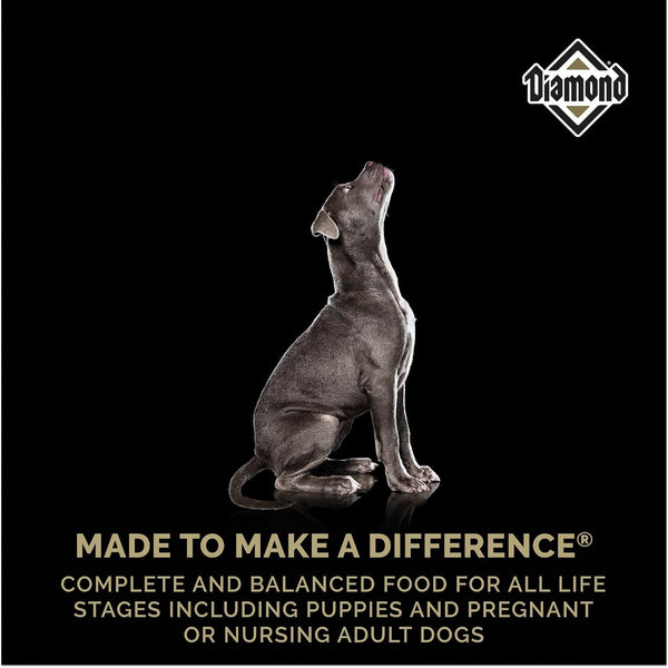 Diamond Puppy High Protein Dry Dog Food, Chicken Protein, 40Lb | Puppy, Adult & Senior Dogs | DHA for Proper Brain & Vision Development | Guaranteed Probiotics for Digestive Support8