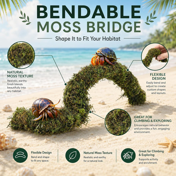 HERCCOCCI Hermit Crab Accessories, Hermit Crab Toys Flexible Climbing Bridge Reptile Hammock Habitat Decor for Hermit Crabs Leopard Geckos Crested Tortoise Snake4