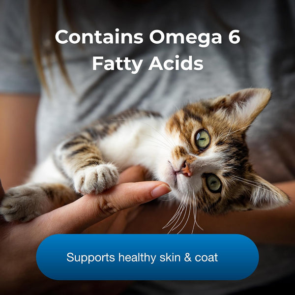 Petag KMR Healthy Development - 14 Oz - Great Tasting Nutritional Supplement for Cats and Weaning Kittens4
