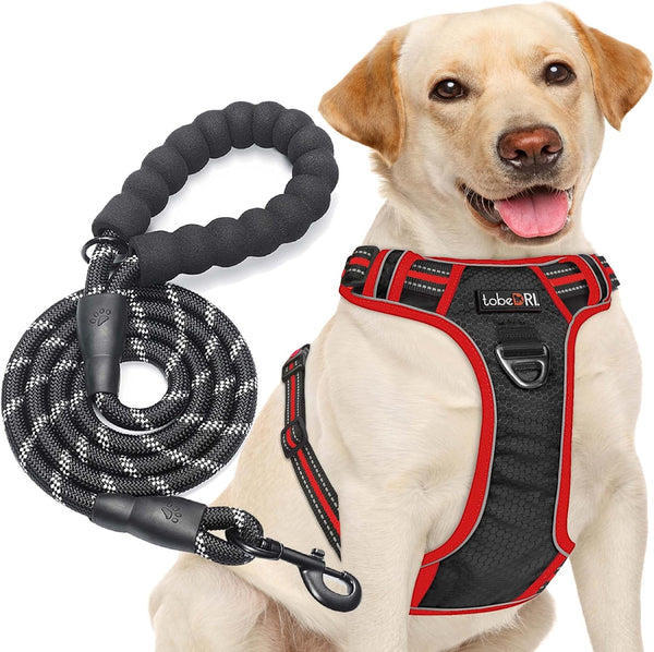 Tobedri No Pull Dog Harness Adjustable Reflective Oxford Easy Control Medium Large Dog Harness with a Free Heavy Duty 5Ft Dog Leash, Blue, M11