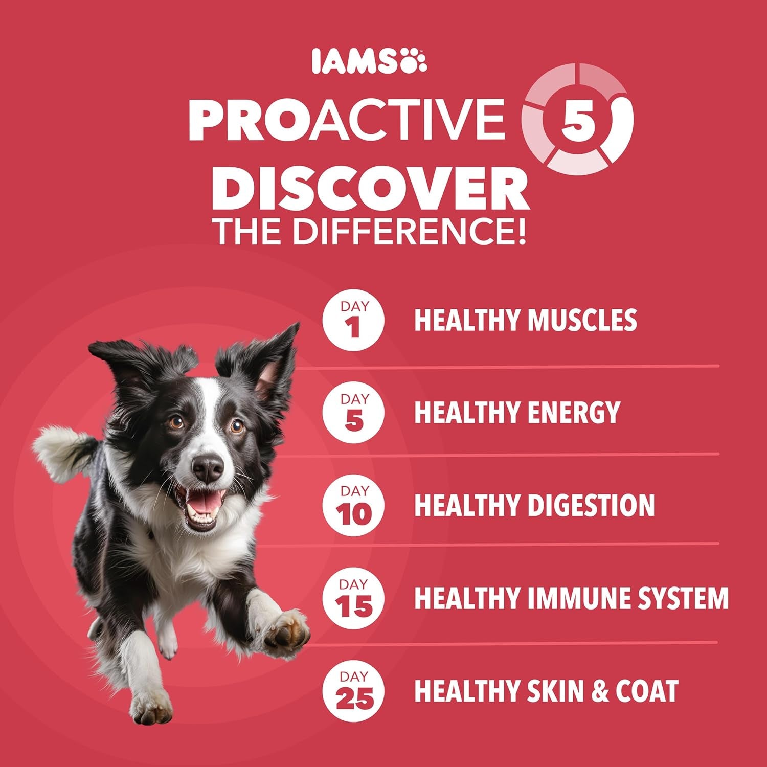 iams-proactive-health-minichunks-dry-dog-food-lamb-rice-15-lb-real-lamb-1-ingredient-omega-6-fatty-acids-for-skin-coat-natural-fiber-prebiotics-no-fillers-or-artificial-flavors
