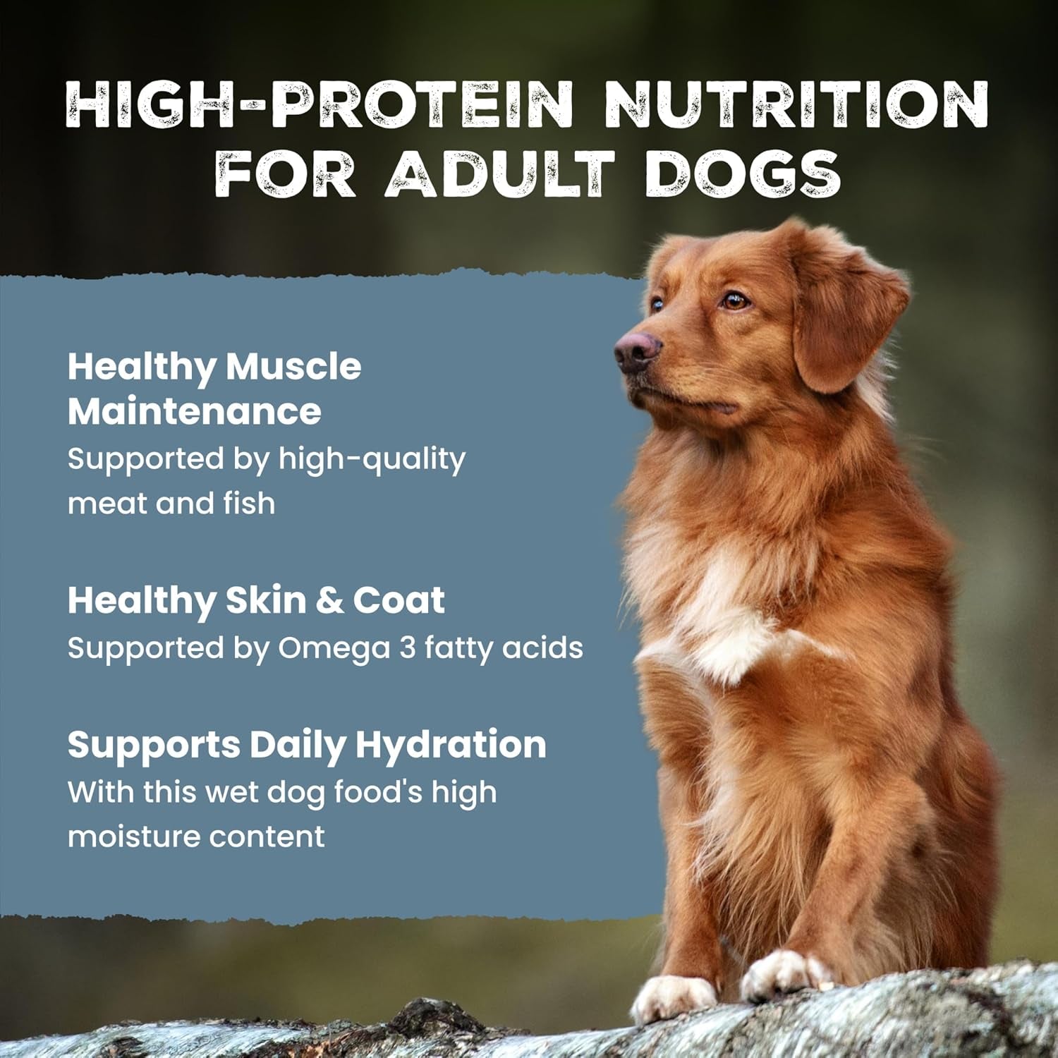blue-buffalo-wilderness-adult-wet-dog-food-variety-pack-beef-chicken-grill-32g-protein-and-chicken-salmon-grill-35g-protein-grain-free-high-protein-natural-12-5-oz-each-6-cans