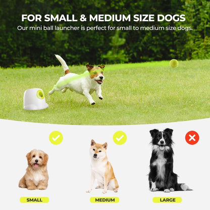 ALL for PAWS Automatic Dog Ball Launcher, Interactive Fetch Toy for Small to Medium Dogs, Pet Thrower Machine for Indoor & Outdoor Play, 3 Pcs 2-Inch Balls Included6