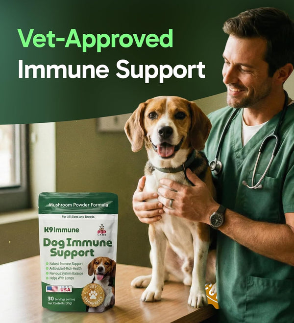 K9 Immune, All-Natural Mushroom Powder for Dogs for Immunity, Digestion, Joints, & Energy, Antioxidant-Rich & Usa-Made, Dog Immune Support with Turkey Tail Mushroom for Dogs, 30 Servings5
