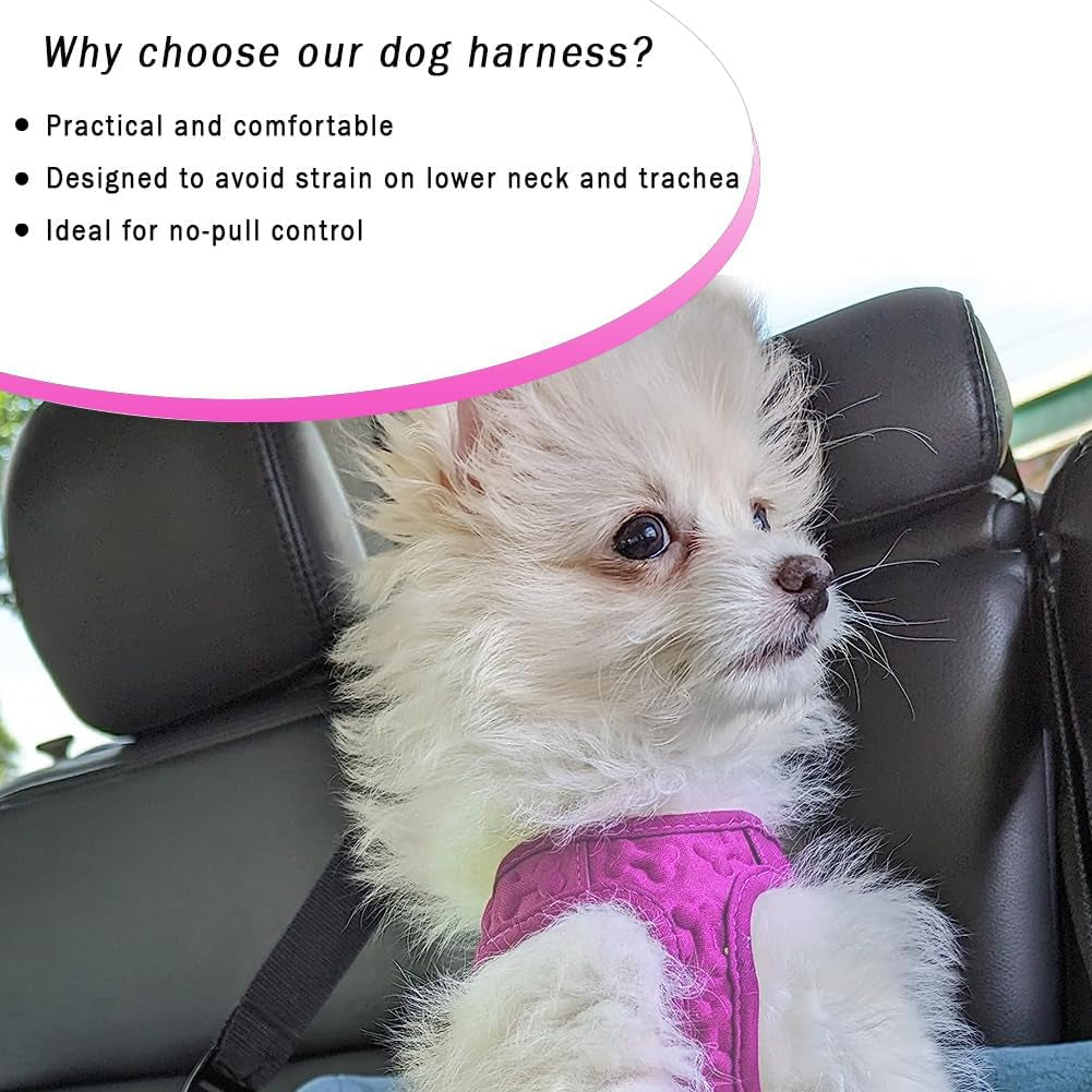 comfort-fit-step-in-dog-puppy-harness-comfortable-all-weather-dog-vest-harness-adjustable-soft-padded-easy-to-put-on-for-small-medium-sized-dogs-plush-both-side-velvet