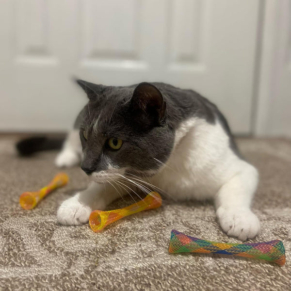 SPOT Kitty Fun Tubes Cat Toy with Catnip inside | Bouncy Interactive Mesh Toy for Cats and Kittens to Bite, Swat and Chase | 3 Pieces9
