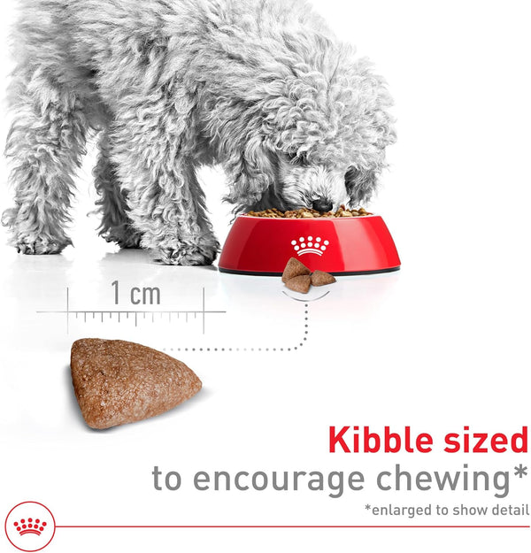ROYAL CANIN Size Health Nutrition Small Indoor Adult Dry Dog Food, 2.5 Lb Bag3